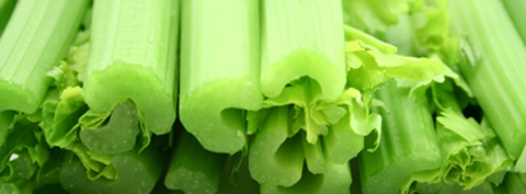 Featured Celery - BloomIQ
